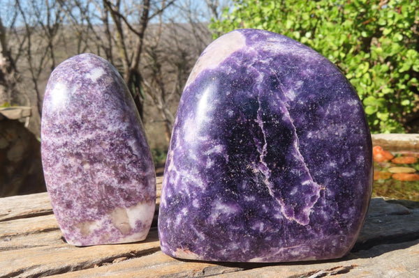 Polished Purple Lepidolite Standing Free Forms  x 2 From Zimbabwe