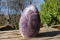 Polished Purple Lepidolite Standing Free Forms  x 2 From Zimbabwe