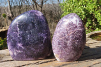 Polished Purple Lepidolite Standing Free Forms  x 2 From Zimbabwe