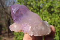 Natural Jacaranda Amethyst Specimens x 12 From Mumbwe, Zambia