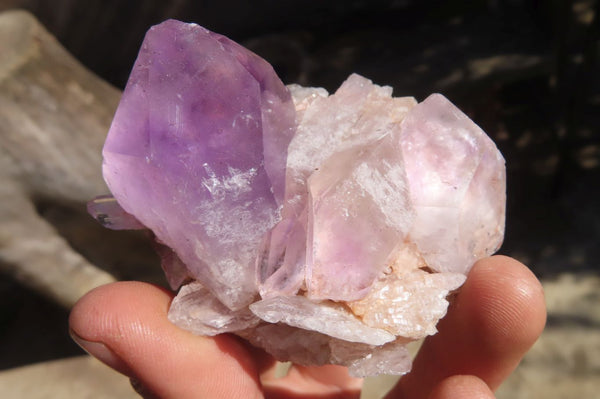 Natural Jacaranda Amethyst Specimens x 12 From Mumbwe, Zambia