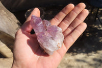 Natural Jacaranda Amethyst Specimens x 12 From Mumbwe, Zambia