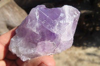 Natural Jacaranda Amethyst Specimens x 12 From Mumbwe, Zambia