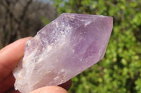 Natural Jacaranda Amethyst Specimens x 12 From Mumbwe, Zambia