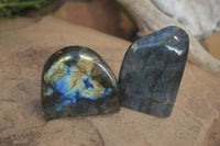 Polished Labradorite Standing Free Forms  x 6 From Tulear, Madagascar