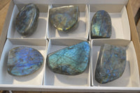 Polished Labradorite Standing Free Forms  x 6 From Tulear, Madagascar