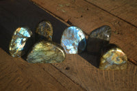 Polished Labradorite Standing Free Forms  x 6 From Tulear, Madagascar