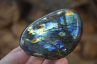 Polished Labradorite Standing Free Forms  x 6 From Tulear, Madagascar