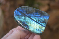 Polished Labradorite Standing Free Forms  x 6 From Tulear, Madagascar