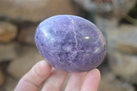 Polished Large Lepidolite Gallets x 6 From Zimbabwe