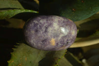 Polished Large Lepidolite Gallets x 6 From Zimbabwe