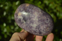 Polished Large Lepidolite Gallets x 6 From Zimbabwe