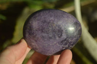 Polished Large Lepidolite Gallets x 6 From Zimbabwe