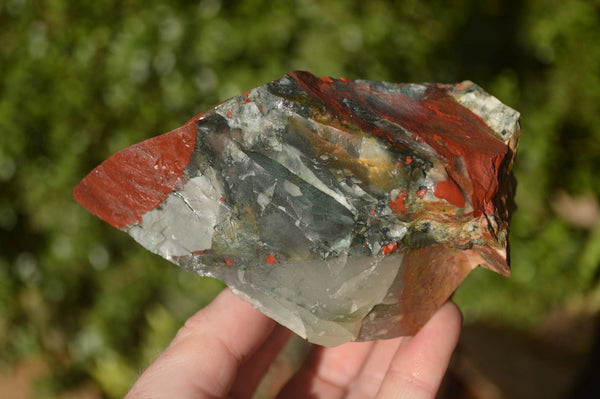 Natural Rough Bloodstone Specimens  x 5 From Swaziland