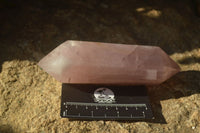 Polished Double Terminated Rose Quartz Points x 4 From Madagascar