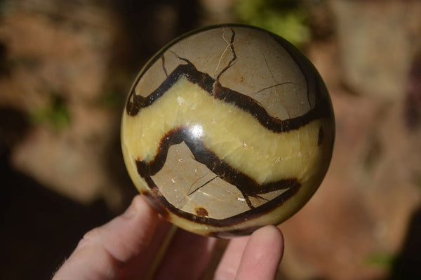 Polished Septaria Spheres x 4 From Mahajanga, Madagascar