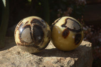 Polished Septaria Spheres x 4 From Mahajanga, Madagascar