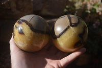 Polished Septaria Spheres x 4 From Mahajanga, Madagascar