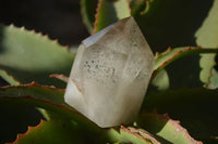 Polished Smokey Window Quartz Points x 2 From Ankazobe, Madagascar