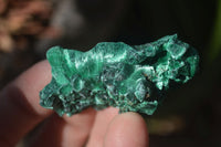 Natural Chatoyant Silky Malachite Specimens  x 35 From Congo