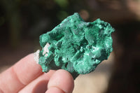 Natural Chatoyant Silky Malachite Specimens  x 35 From Congo