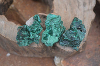 Natural Chatoyant Silky Malachite Specimens  x 35 From Congo