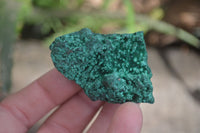 Natural Chatoyant Silky Malachite Specimens  x 35 From Congo