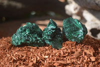 Natural Chatoyant Silky Malachite Specimens  x 35 From Congo