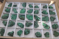 Natural Chatoyant Silky Malachite Specimens  x 35 From Congo