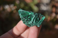 Natural Chatoyant Silky Malachite Specimens  x 35 From Congo