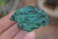 Natural Chatoyant Silky Malachite Specimens  x 35 From Congo