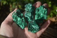 Natural Chatoyant Silky Malachite Specimens  x 35 From Congo