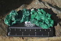 Natural Chatoyant Silky Malachite Specimens  x 35 From Congo