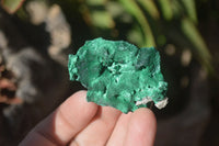 Natural Chatoyant Silky Malachite Specimens  x 35 From Congo