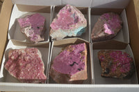 Natural Drusy Salrose Cobaltion Dolomite Specimens x 6 From Kakanda, Congo