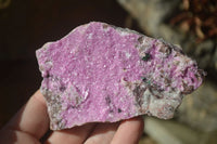 Natural Drusy Salrose Cobaltion Dolomite Specimens x 6 From Kakanda, Congo