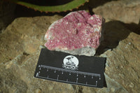 Natural Drusy Salrose Cobaltion Dolomite Specimens x 6 From Kakanda, Congo