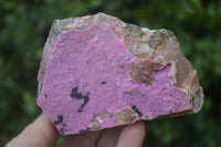 Natural Drusy Salrose Cobaltion Dolomite Specimens x 6 From Kakanda, Congo