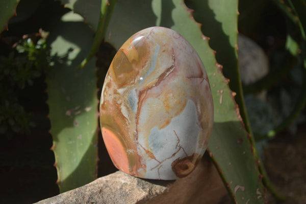 Polished Polychrome Jasper Standing Free Forms  x 6 From Mahajanga, Madagascar