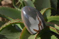 Polished Polychrome Jasper Standing Free Forms  x 6 From Mahajanga, Madagascar