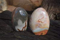 Polished Polychrome Jasper Standing Free Forms x 6 From Mahajanga, Madagascar