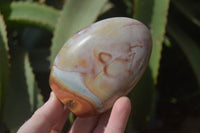 Polished Polychrome Jasper Standing Free Forms  x 6 From Mahajanga, Madagascar