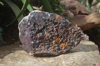 Natural Goethite Coated Blacknite Quartz Cluster  x 1 From Madagascar