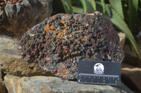 Natural Goethite Coated Blacknite Quartz Cluster  x 1 From Madagascar