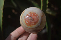 Polished Polychrome Jasper Spheres  x 4 From Madagascar