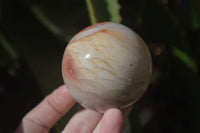 Polished Polychrome Jasper Spheres  x 4 From Madagascar