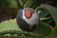 Polished Polychrome Jasper Spheres  x 4 From Madagascar