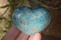 Polished Blue Apatite Hearts  x 6 From Betroka, Madagascar