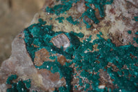 Natural Extra Large Dioptase Dolomite Specimen  x 1 From Congo