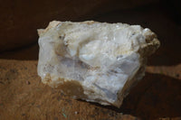 Natural Rough Dendritic White Opal Specimens  x 12 From Namibia